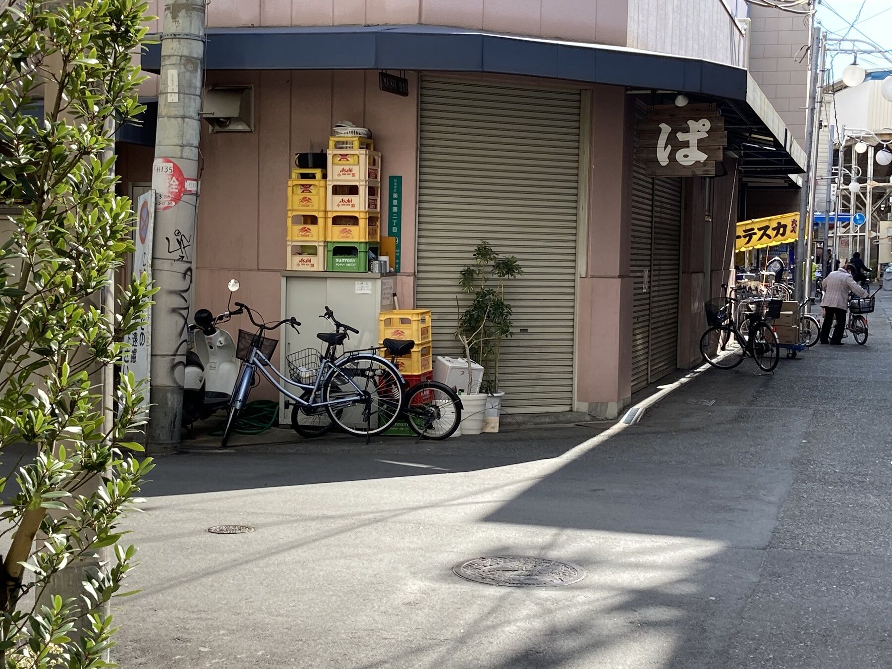 ぱ　北から