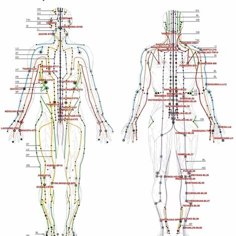 良導絡人体図